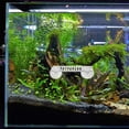 thumbnail image 4 of WEUVEB 2Ud Elementos Paisajísticos Acuario Hoja Para Peces Fabricado Con Tecnología 3D, 4 of 8