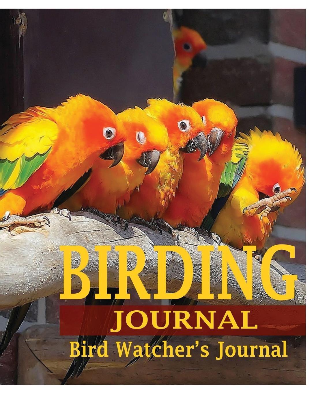 Birding Journal Bird Watcher's Journal (Paperback)