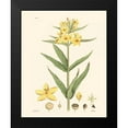 thumbnail image 2 of Vision Studio 15x18 Black Modern Framed Museum Art Print Titled - Antique Floral Plate VIII, 2 of 5