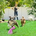 thumbnail image 4 of Octopus Dog Chew Toy Rope & Dog Squeaky Toy - Interactive Dog Toys Set Include No Stuffing Plush Squeaky Dog Toy and Tug of War Dog Rope Toy - Funny Dog Toys for Small Medium Dog, 4 of 7
