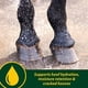 thumbnail image 4 of Suplemento Farnam Horseshoer's Secret EXTRA STRENGTH 1,7 kg, 4 of 8
