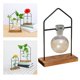 thumbnail image 5 of Maceta hidropónica para plantas, transparente, de madera, para escritorio Soltero, 5 of 9