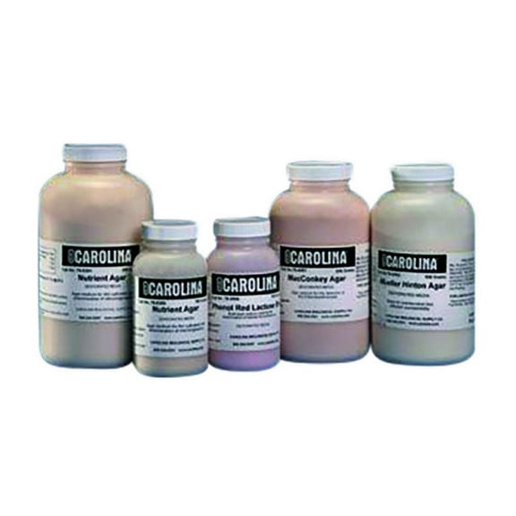 Potato Dextrose Agar, Dehydrated Medium, 100 G