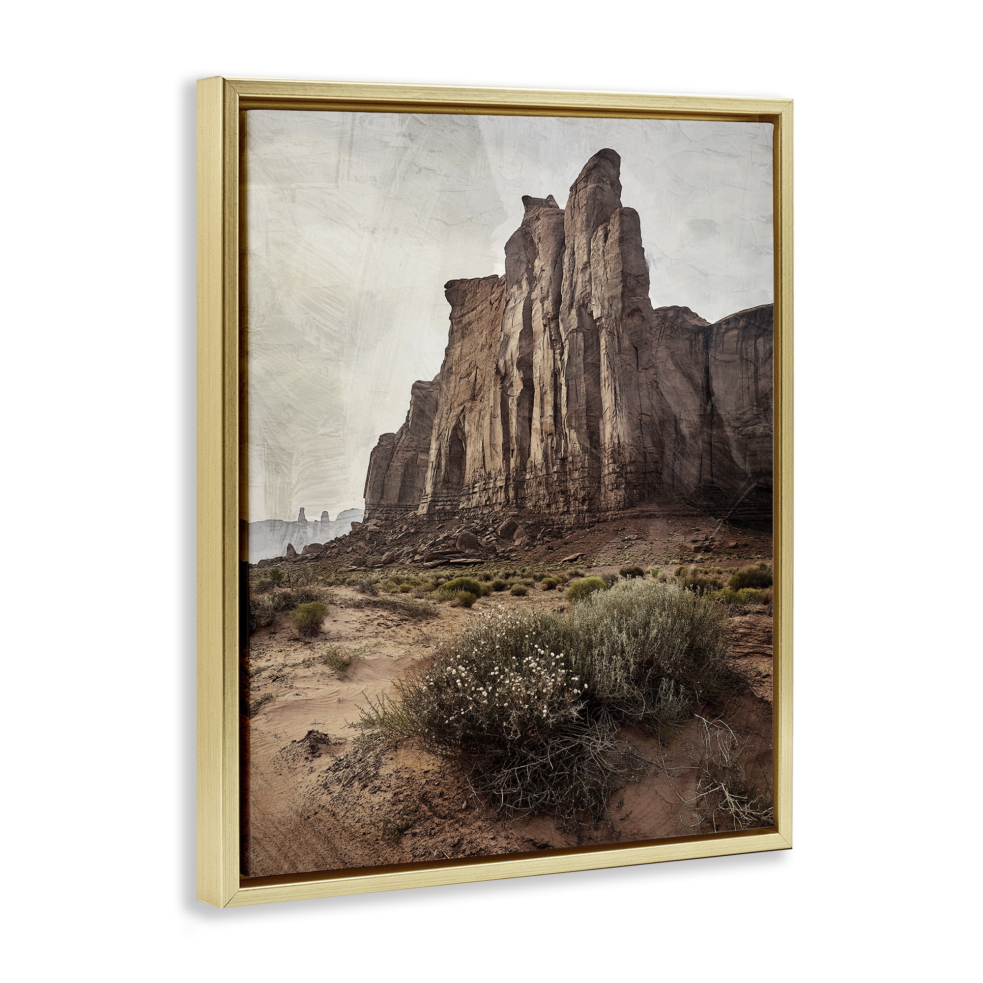 Stupell Industries Desolate Rock View Gold Framed Floater Canvas Wall Art, design by Kim Allen