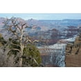 thumbnail image 2 of Reynolds, Gerry 24x17 Black Ornate Wood Framed with Double Matting Museum Art Print Titled - Powell Point-Grand Canyon National Park-Arizona-USA, 2 of 4