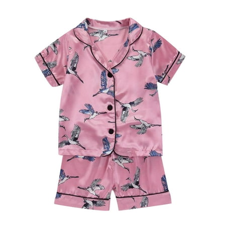 

LIhncine Girls Pajamas Kids Toddler Baby Girls Spring Summer Cartoon Print Short Sleeve Sleepwear Outfits Pajamas Clothes Baby Toddler Pajamas(Pink 3-4 Years)