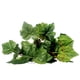 thumbnail image 2 of Plantas artificiales de hiedra Colco Decoración de pared 2m, 2 of 8