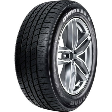 Radar Dimax AS-8 255/30R22 95 W Tire