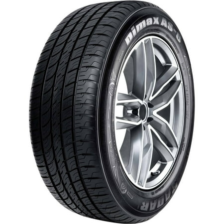 Radar Dimax AS-8 225/55R19 103 V Tire (The Best Trees For Privacy)