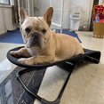 thumbnail image 5 of zezhu Dog Hammock Bed, Dog Rocking Chair, Elevated Dog Bed, Pet Cat Swing Chair, Washable Dog Bouncer, for Indoors Outdoors, 5 of 7