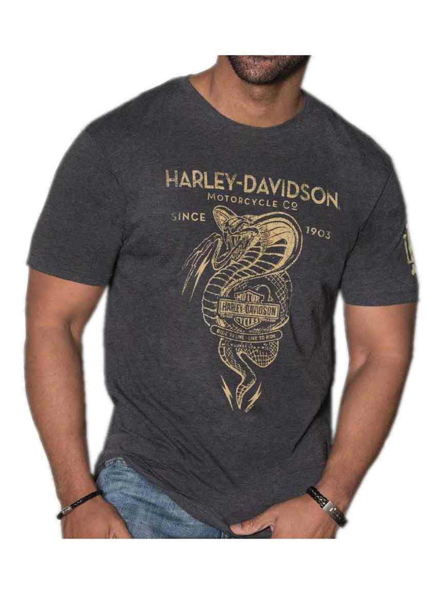 Harley-Davidson Men's Distressed Snake 