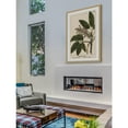 thumbnail image 4 of Marmont Hill "Horse Chestnut" Framed Painting Print, 4 of 5