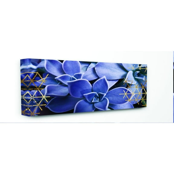 The Stupell Home Decor Collection Close Up Blue Succulent With Gold Patterns Photography Canvas Wall Art