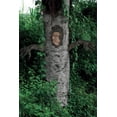 thumbnail image 4 of Seasons USA SEW82378 Creepy Living Tree Decoration, 4 of 4