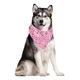 thumbnail image 4 of Bufanda Triangular Para Mascotas Con Forma De Pañuelo I Dog,, 4 of 8