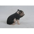 thumbnail image 3 of Hi-Line Gift Ltd Cochon Bébé Assis Brun Foncé, 6 Pouces, 3 of 4