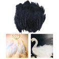 thumbnail image 4 of Injueey 100x Chicken Satinettes Loose Feathers Wedding Craft DIY for Kits de decoración para fiestas Negro 5-10cm, 4 of 6