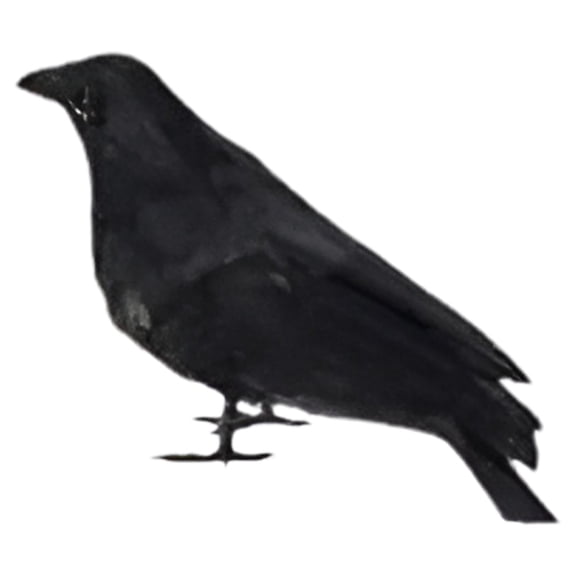 Clearance Under $1.49! 1 Pack Plastic Realistic Crow Figurine, Lifelike Halloween Decoration Bird
