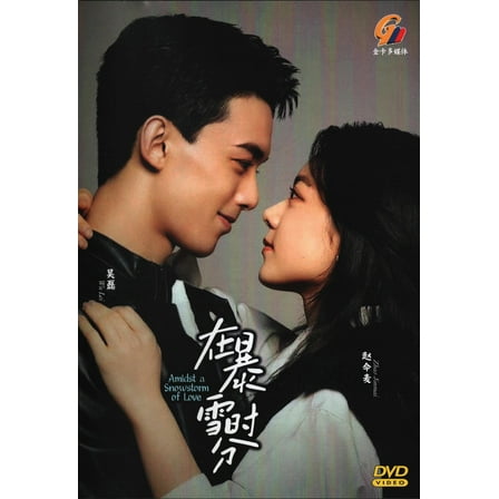 Amidst a Snowstorm of Love Chinese Drama TV Series DVD -English Subtitles(NTSC)