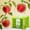 6*9in-100 Pack, variant on 100 Pcs Drawstring Fruit Protection Bags, 6*9 Inch Green Mesh Fruit Net Covers, Anti-Bird Anti-Insect Garden Protective Bags for Fruit Tree, Tomato, Strawberry, Apple, Cherry, Grapes and Vegetables
