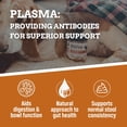 thumbnail image 3 of WINPRO Dog Gut Health Supplement – Plasma-Powered Soft Chews for Dog Immune Health Support & Gut Health, Made with Natural Ingredients for Dogs of All Breeds & Sizes - 60 Count, 3 of 9