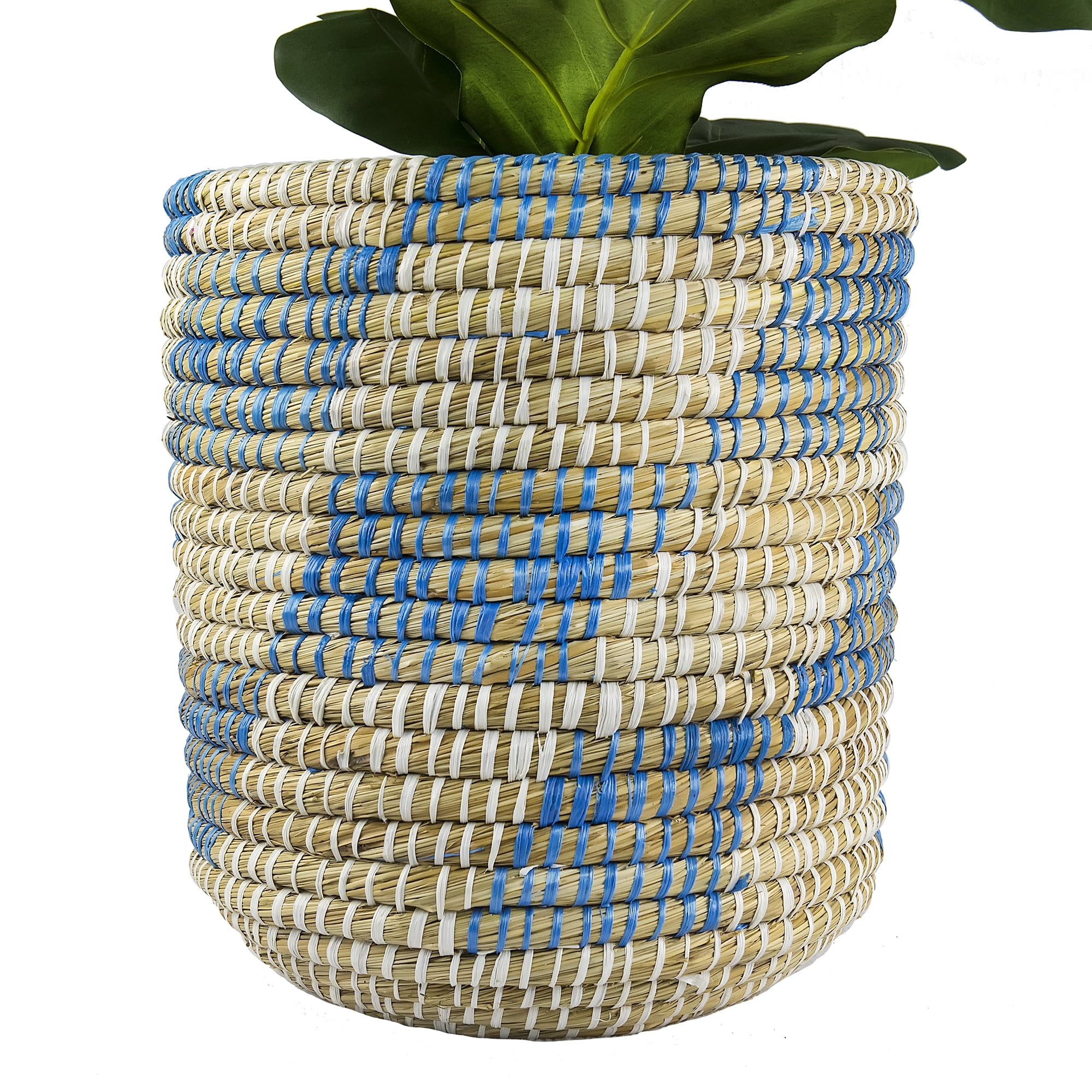 LCG Florals Artificial Plant, Deluxe Fig Plant, 4 ft, Blue and Cream Handwoven Basket
