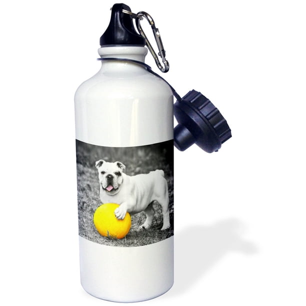 3dRose French Bulldog. Playful dog. Cool image. Straw Water Bottle