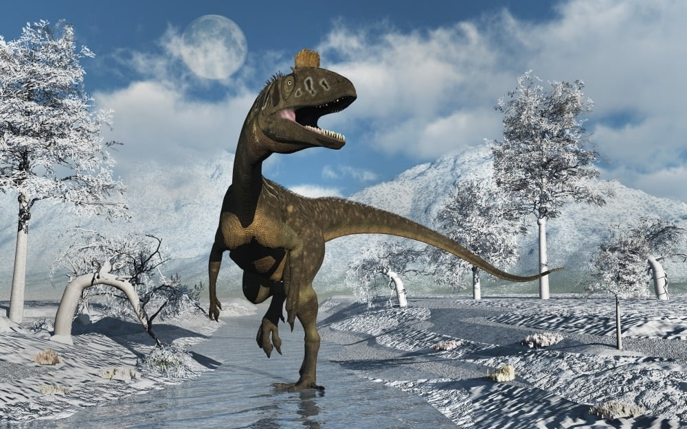 a day with dinosaurs