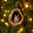 thumbnail image 5 of 2026 Forest Animal Christmas Ornaments, 3D Acrylic Animal In Acorn Hanging Hide Decoration for Christmas Tree, Wildlife Holiday Decor, Seasonal Keepsake Gifts, Unique Home and Party Decor (Squirrel), 5 of 7