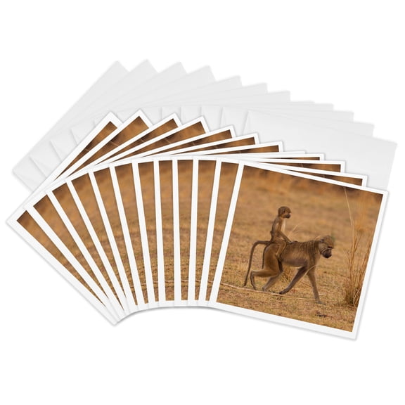 3drose, Chacma Baboons, South Luangwa Np, Zambia., 12 Greeting Cards with Envelopes