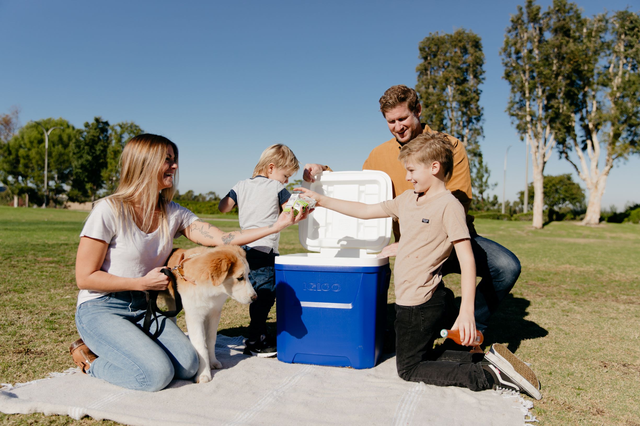 Igloo Laguna 60qt Wheeled Ice Chest Cooler Blue photo 8