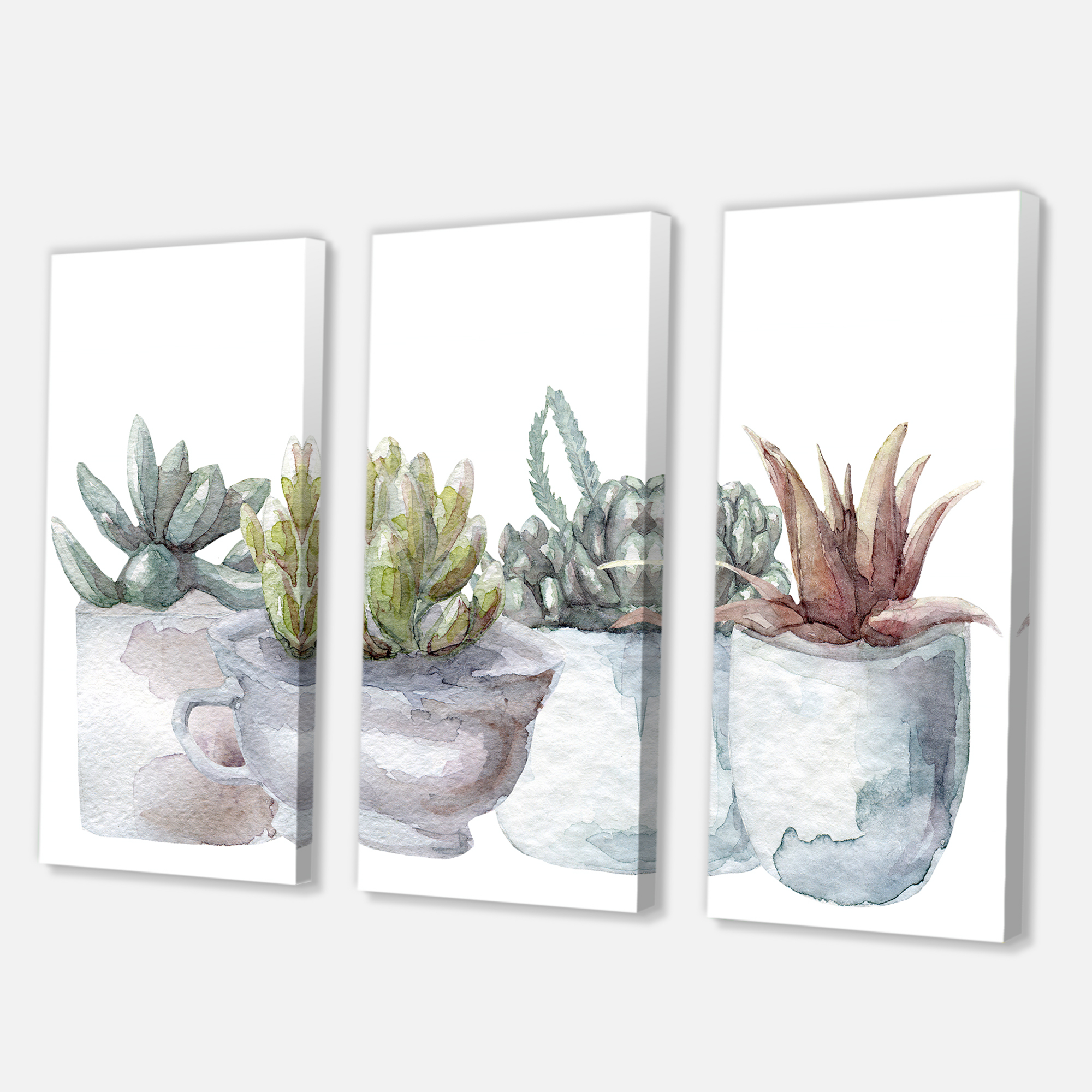 Designart ' Succulent and Cactus House Plants IV ' Farmhouse Canvas Wall Art Print