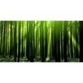 thumbnail image 3 of PhotoINC Studio 14x9 Black Modern Framed Museum Art Print Titled - Green Woods 3, 3 of 5