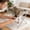 🔥 Brown_New#2723, variant on Small Dog Grooming Hammock Bed for Bathing, Nail Trimming and Hair Cutting, Detachable Scratch-Resistant Pet Bathing Rack for Small Dogs and Cats