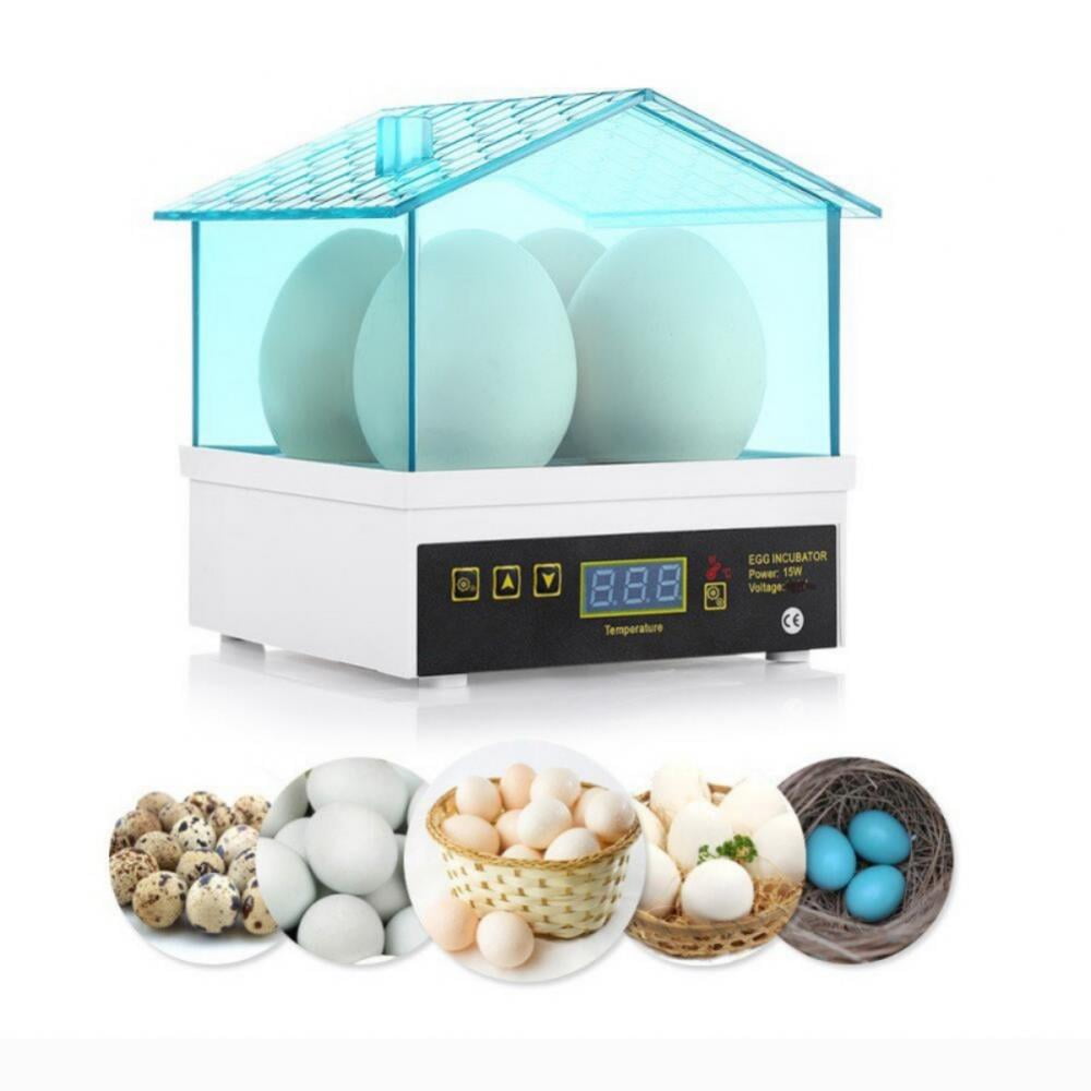 Buy Egg Incubator, 4 Eggs Digital Fully Automatic Incubators for