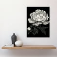 thumbnail image 2 of A Peony Flower Bloom Black and White Blind Contour Large Wall Art Poster Print Thick Paper 18X24 Inch, 2 of 3