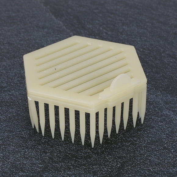 Outils Apiculteurs, Cage Reine, Outil Apiculteur Extérieur en Plastique de Forme Hexagonale pour la Maison Intérieure