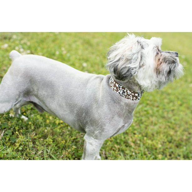 Country Brook Petz Deluxe Cow Print Dog Collar Made in the U.S.A. Large Walmart Business Supplies