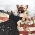 thumbnail image 3 of Yiaed Wood Grain Bald Eagle Print Dog Blankets-Cat Blanket Washable for Couch Protection,Puppy Blanket, Soft Plush Reversible Throw Furniture Protector-Small, 3 of 8