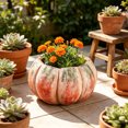 thumbnail image 2 of MYUNNIL Halloween Pumpkin Shaped Planter, Vintage Rustic Pumpkin Resin Flower Pot with Faded Texture Desigh, Durable Practical Decorative Container for Indoor Garden Yard Decor, 2 of 6