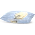 thumbnail image 4 of Polar Bear Walking Velvet Oblong Lumbar Plush Throw Pillow Cover/Shams Cushion Case - 20x36in - Decorative Invisible Zipper Design for Couch Sofa Pillowcase Only, 4 of 7