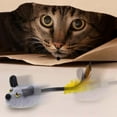 thumbnail image 4 of YOHAVEN Interactive Remote Control Mouse Toy, Motorized Mobile Electronic Cat Toy, Stimulate Hunting Instincts, Rechargeable, Fun for Cats, Perfect Christmas Gifts for Pet Lovers, Holiday Fun, 4 of 9