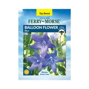 Ferry-Morse 155MG Balloon Flower Perennial Flower Seeds Full Sun
