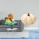 thumbnail image 2 of Calabaza De Cristal De Peluche Con Forma De Caracol, Animal Marino, Adorno Decorativo Para Almohada, Para El Hogar, La Oficina, El Dormitorio, El Sofá, La Mesita De Noche, La Habitación., 2 of 8