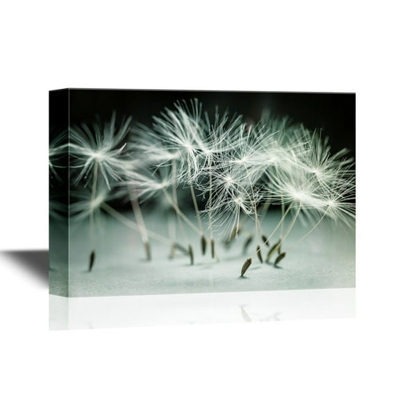 wall26 - Canvas Wall Art - Macro Closeup of Dandelion Seeds Standing Up - Gallery Wrap Modern Home Art | Ready to Hang - 24x36 inches