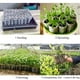 thumbnail image 4 of 200 bolsas de vivero biodegradables no tejidas para cultivo de plantas, macetas de tela, 4 of 5