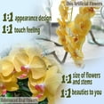 thumbnail image 4 of Tropical Artificial Flower 4pcs 28" Long Stem Butterfly Orchid Big Size Lifelike Phalaenopsis Real Touch Moth Orchid for Wedding Bridal Home Décor Baby Shower Centerpiece(Light Purple), 4 of 5
