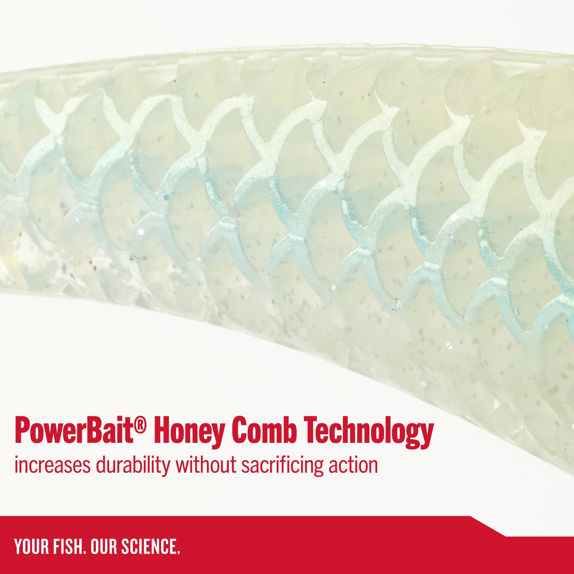 (2 pack) Berkley PowerBait® CullShad, 6 in, Albino