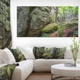 thumbnail image 1 of Wild Deep Moss Forest Ukraine, 1 of 3