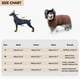 thumbnail image 4 of Toalla de baño para perros - Toalla de microfibra de secado rápido súper absorbente para mascotas, perros y gatos, suave, 4 of 5